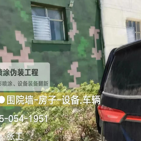 北京数码迷彩漆施工